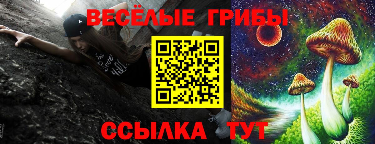 Псилоцибиновые грибы GOLDEN TEACHER Мыски