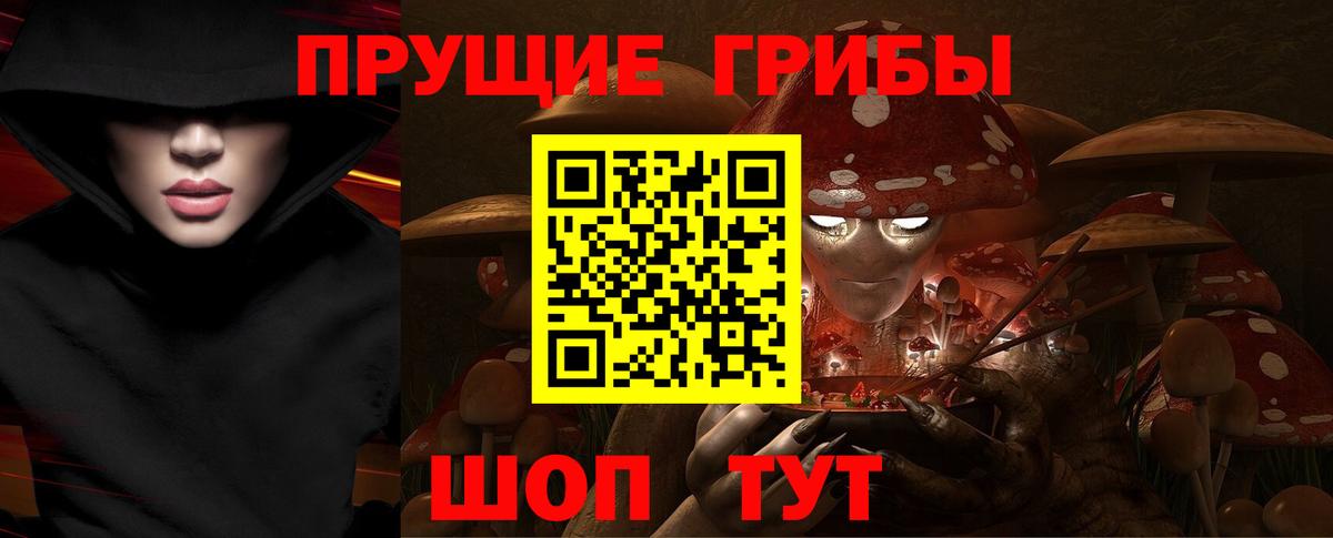 Псилоцибиновые грибы прущие грибы  Вход с VPN  наркошоп  Мыски 