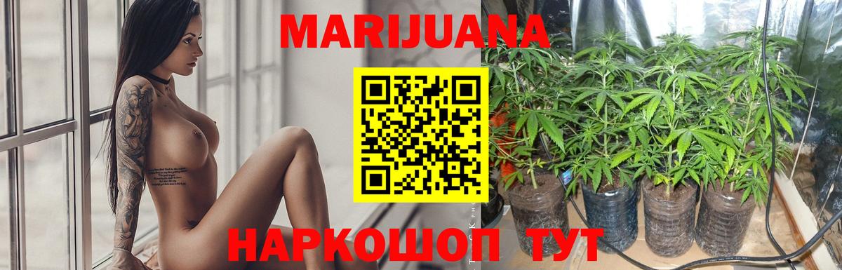 Бошки Шишки Bruce Banner  Вход с VPN  Мыски  Шишки марихуана планчик 
